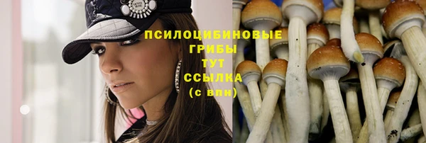 ешки Балабаново