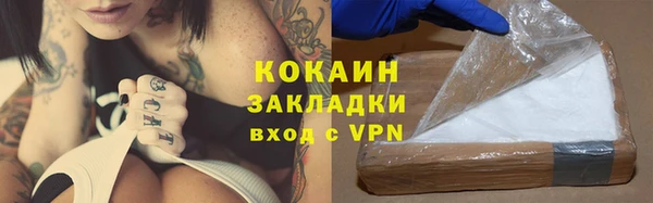 крисы Балахна