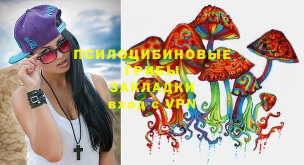 крисы Балахна
