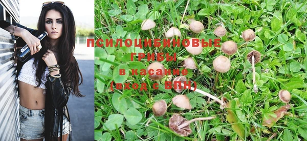 крисы Балахна