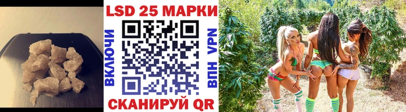 где можно купить наркотик  Салаир  Лсд 25 экстази ecstasy 