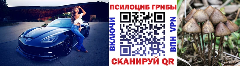Псилоцибиновые грибы мухоморы  Салаир 